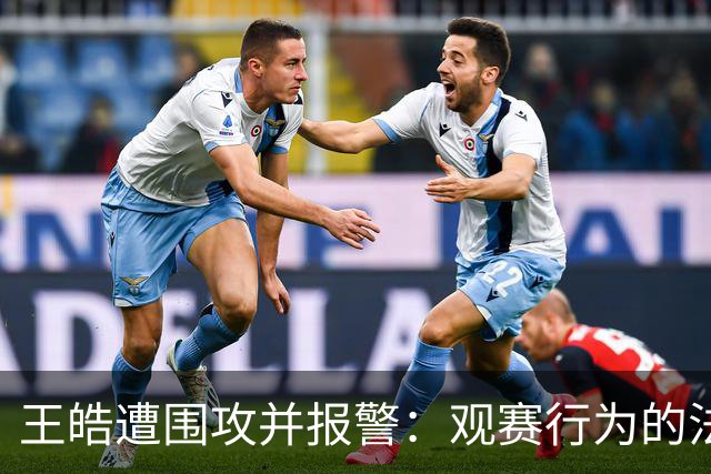 王皓遭围攻并报警：观赛行为的法律界限究竟在哪里？